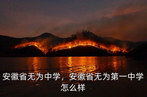 安徽無為中學省排名多少,安徽省無為第一中學怎么樣
