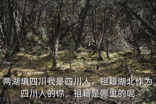 聶歡是四川哪里人,祖籍是哪里的呢