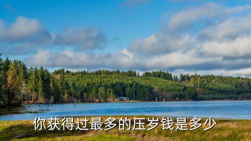 河南壓歲錢平均多少元,你獲得過最多的壓歲錢是多少
