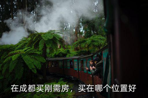成都現(xiàn)在在哪里買剛需房性價(jià)比高,在成都買剛需房