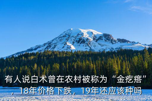 有人說白術曾在農村被稱為“金疙瘩”，18年價格下跌，19年還應該種嗎