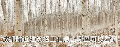 成都附近建筑招工信息上哪里可以看到