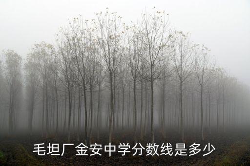 六安毛坦廠金中多少分,毛坦廠中學在六安那個區