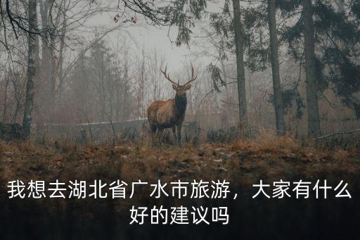 湖北省廣水市歷史怎么稱呼,我想去湖北省廣水市旅游
