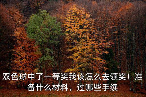 在十堰中雙色球一等獎怎么領取,彩票中一等獎怎么領取