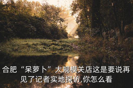 合肥“呆蘿卜”大規模關店這是要說再見了記者實地探訪,你怎么看