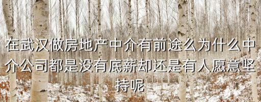 武漢創(chuàng)世中介怎么樣,武漢的中介公司這么多