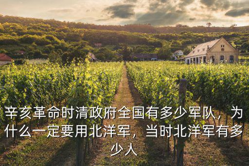 辛亥革命時清政府全國有多少軍隊，為什么一定要用北洋軍，當時北洋軍有多少人