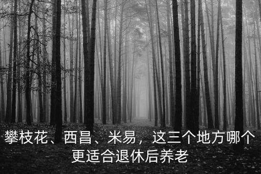 攀枝花、西昌、米易，這三個地方哪個更適合退休后養(yǎng)老