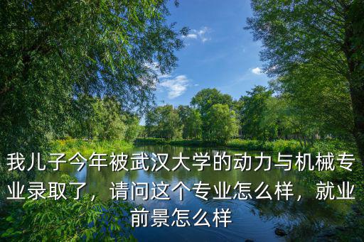 我兒子今年被武漢大學的動力與機械專業錄取了，請問這個專業怎么樣，就業前景怎么樣
