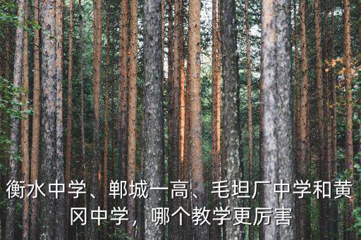衡水中學、鄲城一高、毛坦廠中學和黃岡中學，哪個教學更厲害