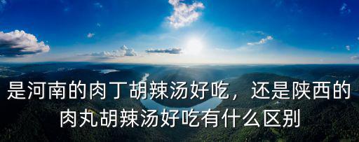 是河南的肉丁胡辣湯好吃，還是陜西的肉丸胡辣湯好吃有什么區(qū)別