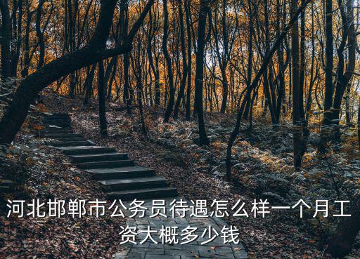 河北國稅公務員每個月多少工資,河北公務員工資待遇如何