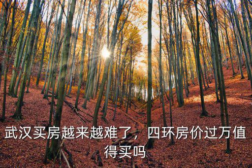 武漢四環(huán)外房價怎么樣,武漢四環(huán)外樓盤價格開始過萬