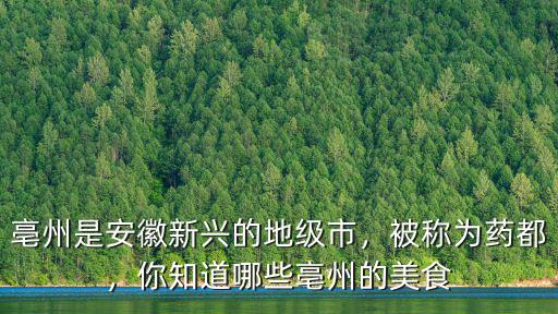 亳州的這些風味小吃你知道多少,你知道哪些亳州的美食