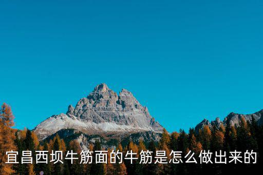 宜昌西壩牛筋面的牛筋是怎么做出來的