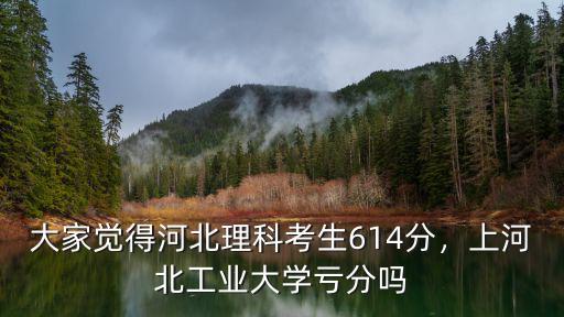大家覺得河北理科考生614分，上河北工業大學虧分嗎