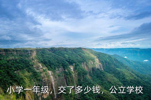 小學一年級，交了多少錢，公立學校