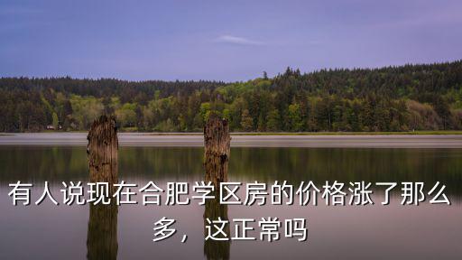 合肥學區房最高價多少,合肥170個學區房價格曝光