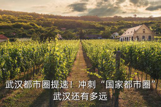 武漢都市圈提速！沖刺“國家都市圈”武漢還有多遠