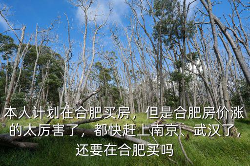 本人計劃在合肥買房，但是合肥房價漲的太厲害了，都快趕上南京、武漢了，還要在合肥買嗎