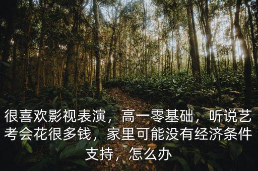 廊坊藝考表演多少錢,音樂藝考要花多少錢