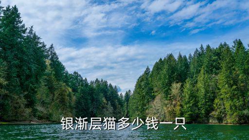 廊坊寵物店藍貓多少錢一只,銀漸層貓多少錢一只