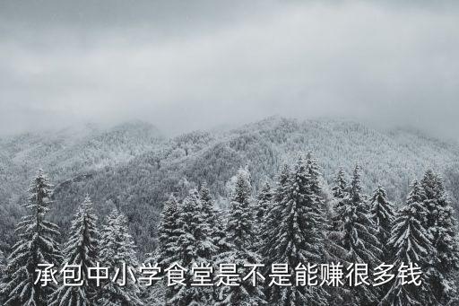 承包中小學食堂是不是能賺很多錢
