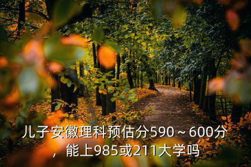 安徽多少分以上能上985,安徽文科生多少分能上985