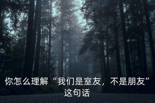 你怎么理解“我們是室友，不是朋友”這句話