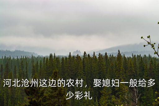 河北滄州娶媳婦的三斤二兩是多少,結(jié)婚三斤二兩是多少錢