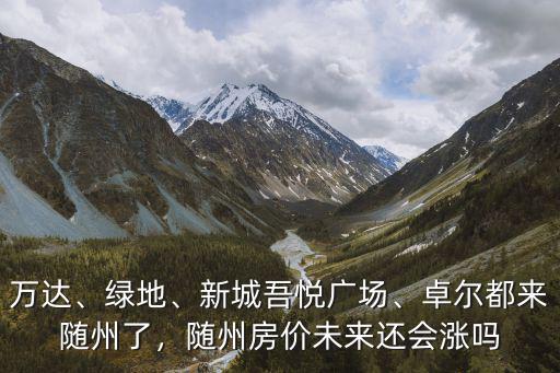 隨州 恒大怎么了,卓爾都來隨州了