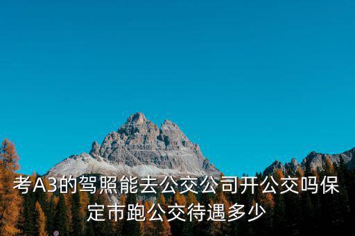 考A3的駕照能去公交公司開公交嗎保定市跑公交待遇多少