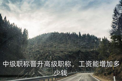 池州中級職稱加多少錢,中級職稱晉升高級職稱