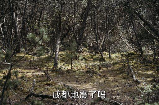 成都地震了嗎