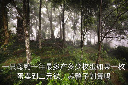 保定鴨子賣多少錢一只,現在一只鴨子值多少錢