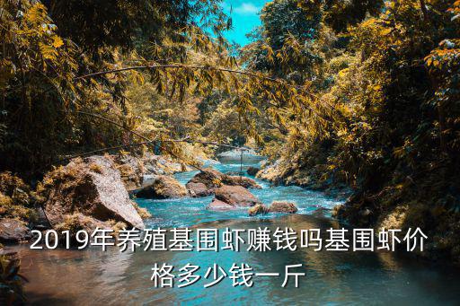蚌埠基圍蝦批發(fā)多少錢,基圍蝦價(jià)格多少錢一斤