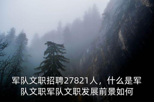 安徽省女生軍隊(duì)文職招多少人,軍隊(duì)文職招聘27821人