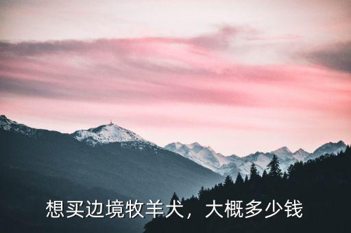 想買邊境牧羊犬，大概多少錢
