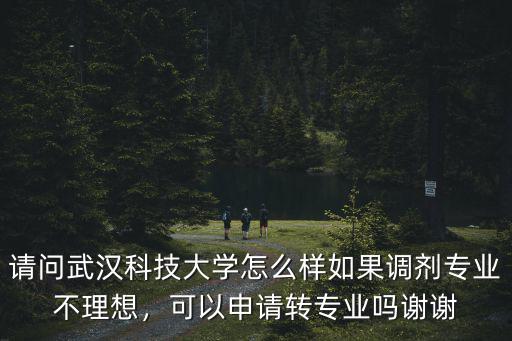 武漢科技大學攝影專業怎么樣啊,請問武漢科技大學怎么樣
