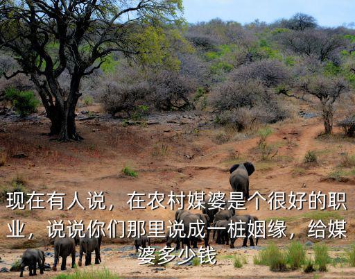 現在有人說，在農村媒婆是個很好的職業，說說你們那里說成一樁姻緣，給媒婆多少錢