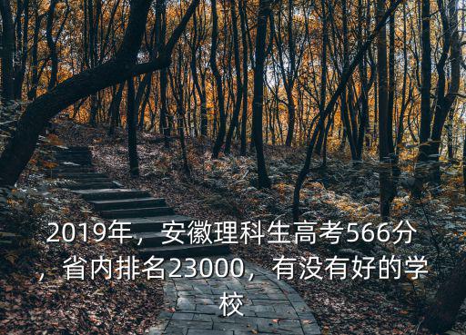 2019安徽理科463分省排名多少,省內(nèi)排名23000