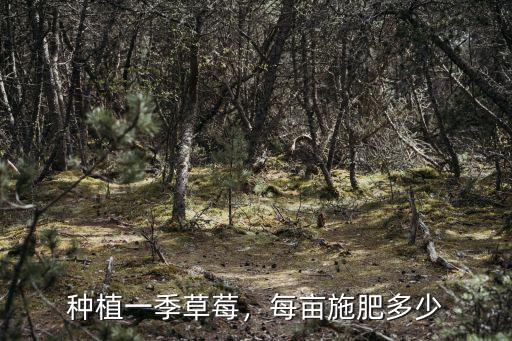 草莓一次放多少復合肥,每畝施肥多少