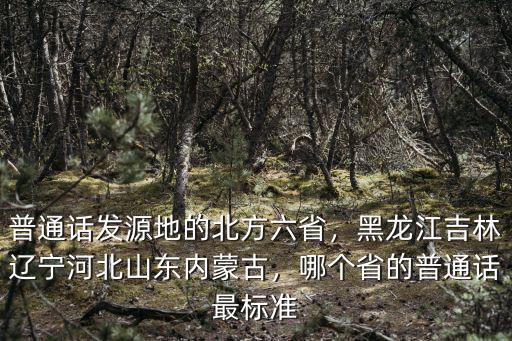 普通話發源地的北方六省，黑龍江吉林遼寧河北山東內蒙古，哪個省的普通話最標準