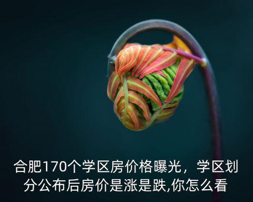 合肥市學區公寓房價多少,學區劃分公布后房價是漲是跌