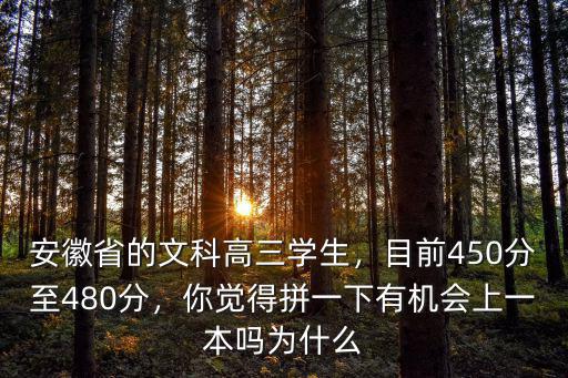 安徽省的文科高三學生，目前450分至480分，你覺得拼一下有機會上一本嗎為什么
