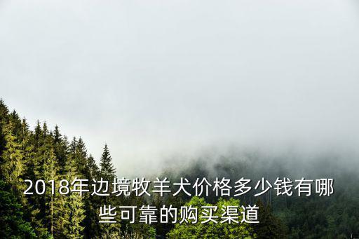 2018年邊境牧羊犬價(jià)格多少錢有哪些可靠的購(gòu)買渠道