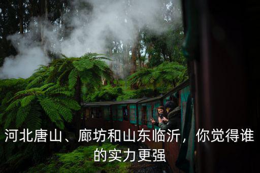 河北唐山、廊坊和山東臨沂，你覺(jué)得誰(shuí)的實(shí)力更強(qiáng)