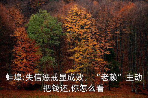 蚌埠:失信懲戒顯成效，“老賴”主動把錢還,你怎么看