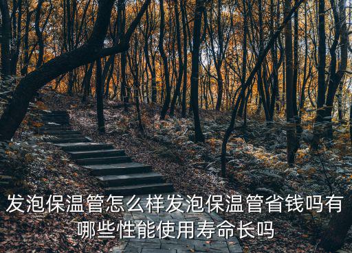 衡水鋼套鋼發(fā)泡保溫管多少錢,發(fā)泡保溫管怎么樣